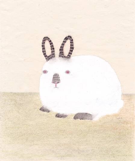 animal portrait i“ iru “ | ado(makiko watanabe) homepage