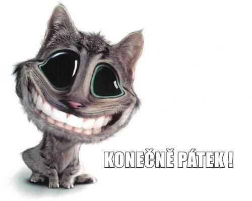 Konečně pátek!