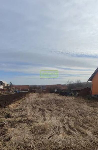 Prodej Pozemek, Drnholec, okres Břeclav