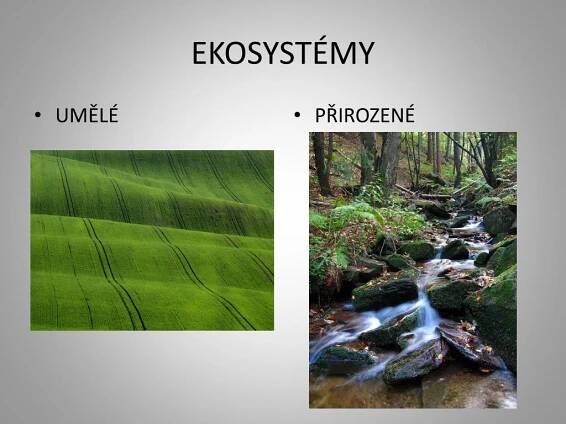 PPT - Přirozené a umělé ekosystémy PowerPoint Presentation, free download - ID:2346549