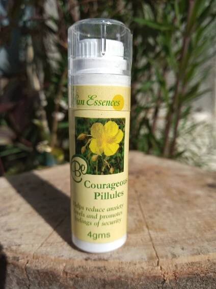 Be Courageous. Bach flower remedies.