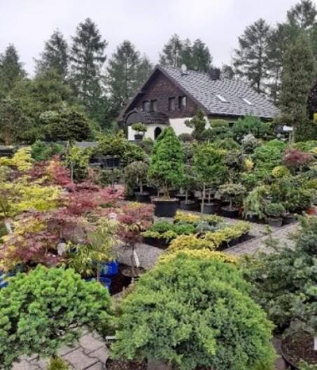 Růžovka - Exkurze Miniarboretum Staříč PrŠ I+II. RIV