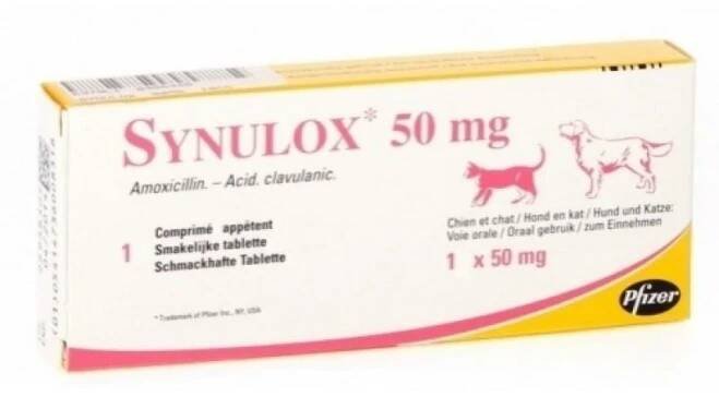 SYNULOX 50 MG AMOXICILLIN
