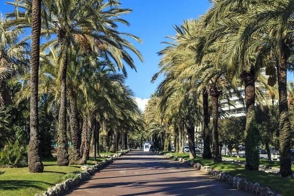 villa luxe cannes