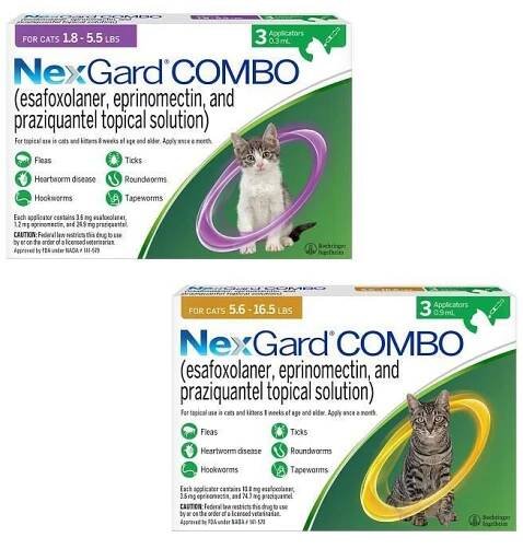 NexGard COMBO Topical for Cats and Kittens
