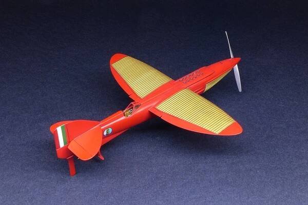 Piaggio P.7 1/72 SBS Model - 72insight.com