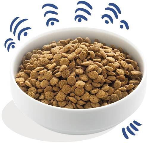 Product - Dog Adult Kibble Salmon