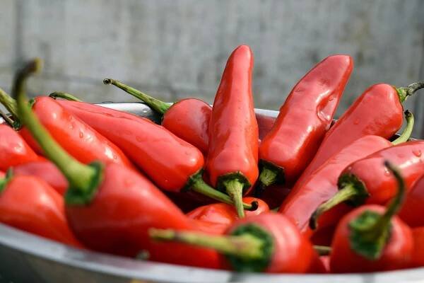 Chilli papričky snižují riziko úmrtnosti: zakousněte se do nich s chutí