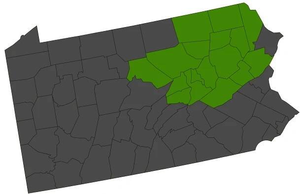 Wilkes-Barre/Scranton/Hazleton Kegerreis DMA