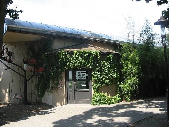 ZOO Dvůr Králové - otevírací doba, vstupné, ubytování, zvířata, ceník, akce