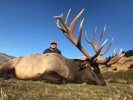 Hunt Elk/Wapiti in New Zealand with Venator Cardrona Safaris | Ultimate Trophy Hunting
