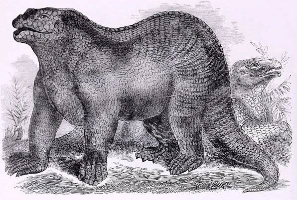 File:Goodrich Iguanodon.jpg