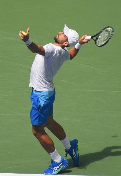 Soubor:Novak Djokovic Practicing Tennis 03 (cropped).jpg
