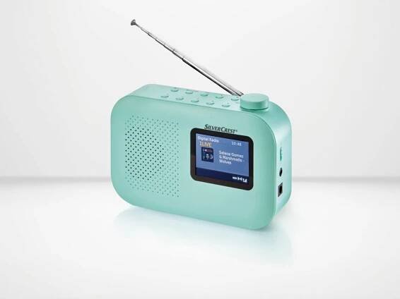 Rádio DAB+ / UKW SDRF 10 B1