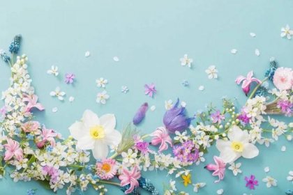 Jarní květiny na papírové pozadí — Stock obrázek