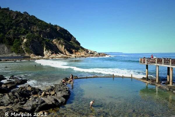 George, South Africa: All You Must Know Before You Go (2025) - Tripadvisor