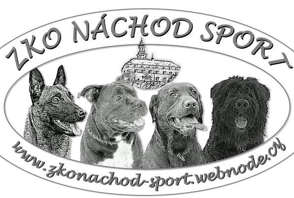 Zkonachod-sport