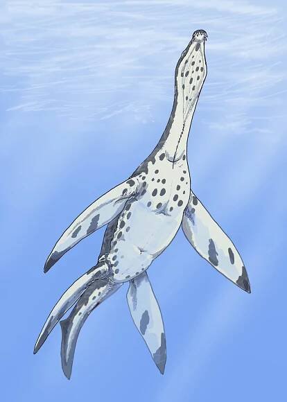 Meyerasaurus