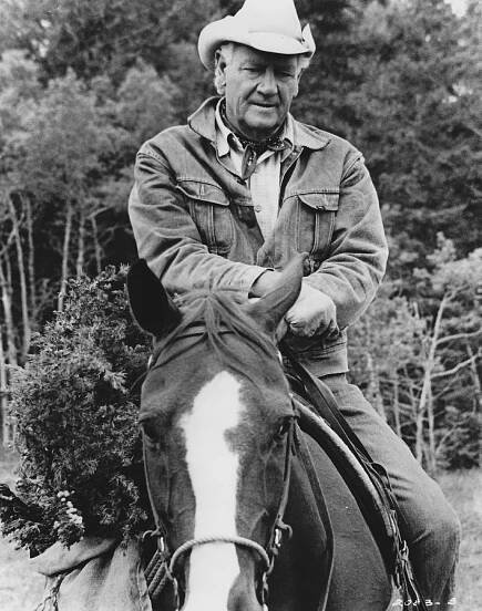 Země mustangů (1976)