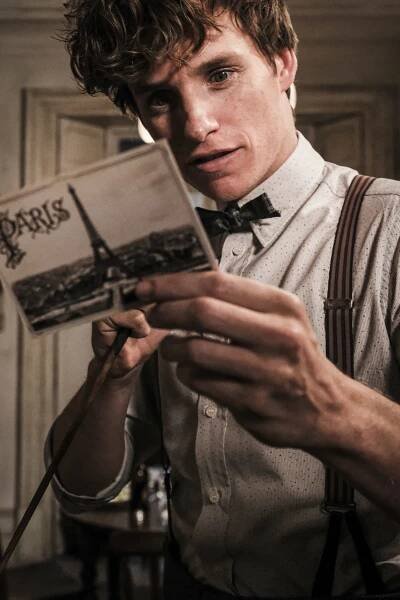 Eddie Redmayne - Fantastická zvířata: Grindelwaldovy zločiny (2018), Obrázek #8