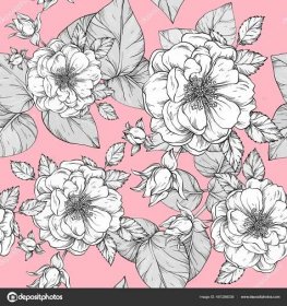 Stáhnout - Růžové květinové bezešvé vzor s ručně kreslené bílé růže — Ilustrace