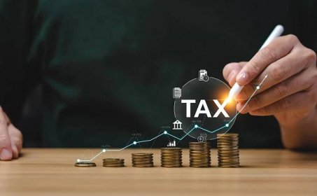 Jak vyplnit daňové přiznání online? | cdr.cz