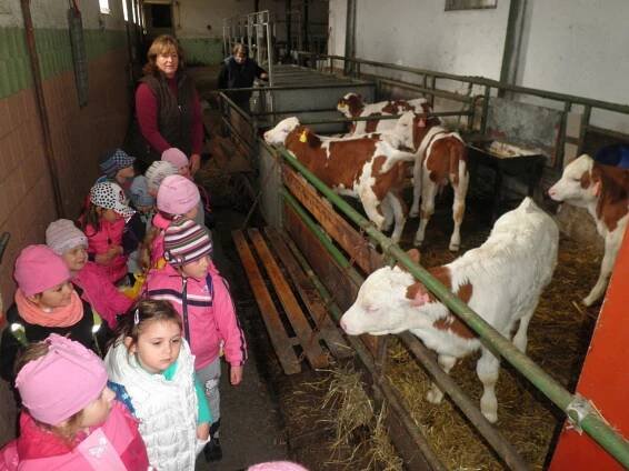 Mateřská škola Louny, Kpt. Nálepky 2309, příspěvková organizace | školní rok 13/14