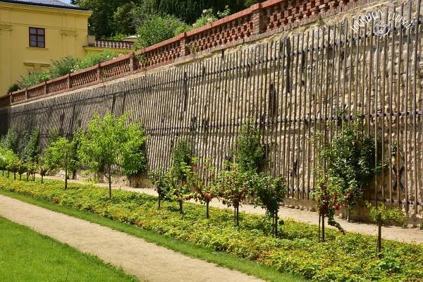 Zámecká zahrada v Lysicích – Turisticky gurman