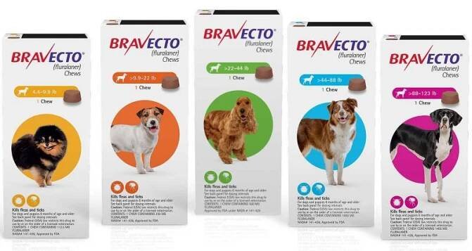 Bravecto | Veterinární centrum s.r.o.