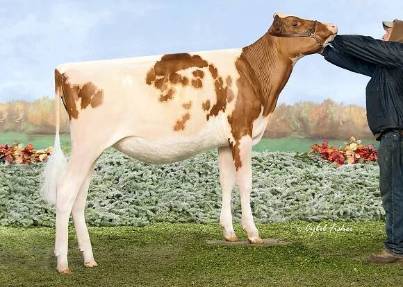 Milksource Altitude TEQUIA-RED
