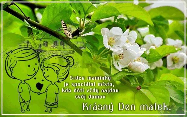 prani_k_svatku_matek_2