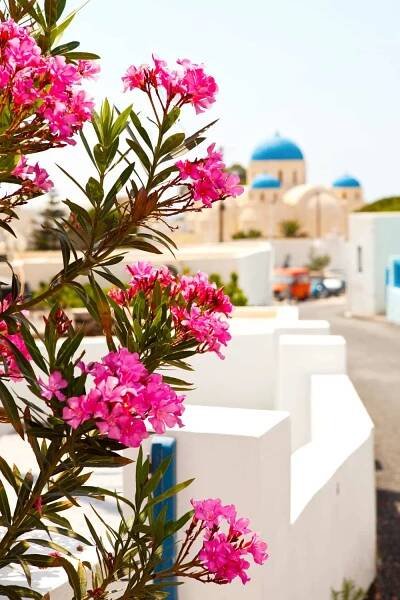 Perissa Beach: Discover the allure of Perissa Beach, one of Santorini's top black sand beaches. Lounge on the volcanic shores, soak up the sun, and indulge in the beachside tavernas and water sports activities.