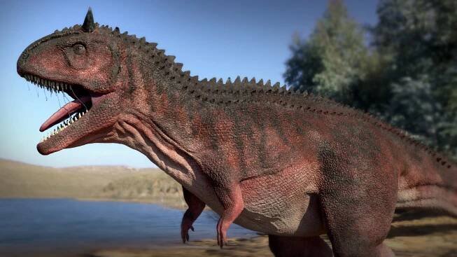 Carnotaurus Theropod Dinosaur 3D https://p.turbosquid.com/ts-thumb/Ny/cGka4f/zz/shothdri3copy/jpg/1736793710/1920x1080/fit_q87/c6d55c1ab9b4ee45d94a92d0f1ab9ae4f3e688b0/shothdri3copy.jpg