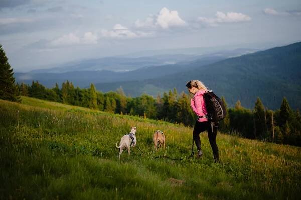 Pěší turistika i běh stezkou horských chat v Beskydech - Hravé Pohraničí