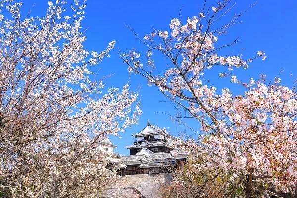 Matsuyama Castle