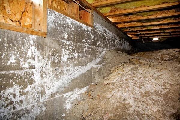 Moldy Crawl Space Waterproofing Service: Keeping Your Home Safe and Healthy - SG Waterproofing