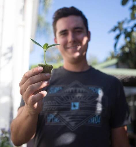 Urban Farming - Andrew Hill Images