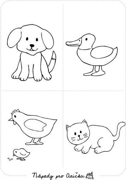DIY Animal Coloring Pages for Kids