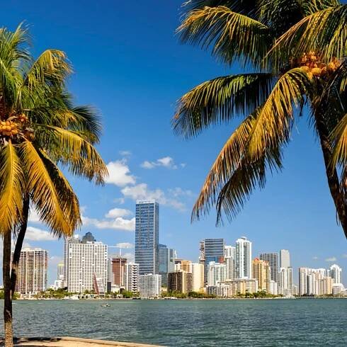 Dive into the top 8 tourist attractions in Florida