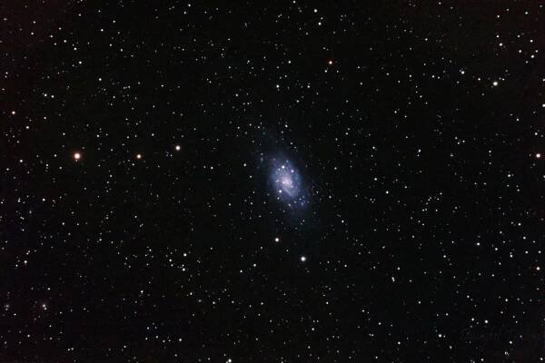 NGC2403