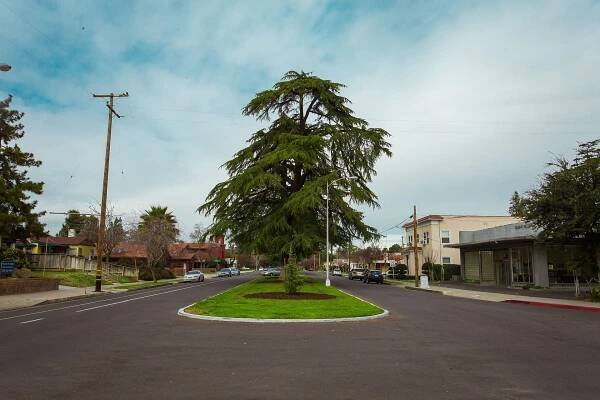 Fresno High Neighborhood Guide