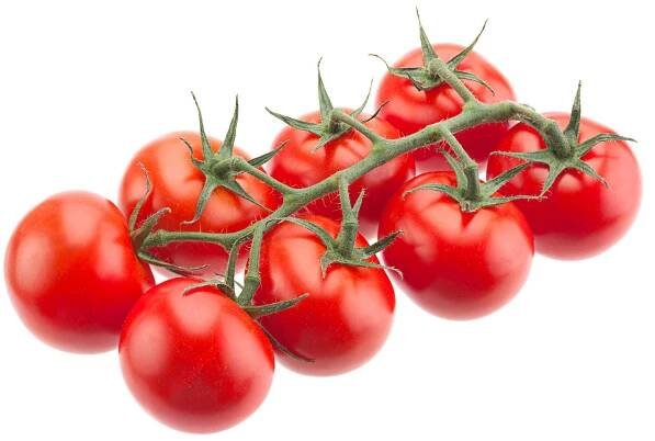 Rajčata cherry na větvičce (odr. Creativo), střapec