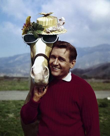 mister-ed-1