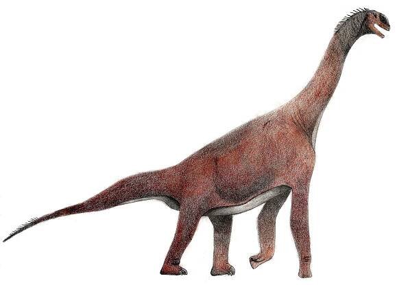 Soubor:Atlasaurus.jpg – Wikipedie