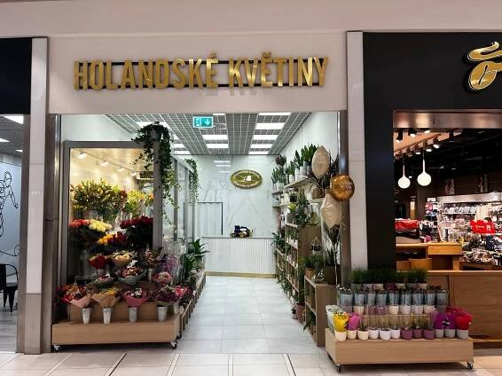 Holandské květiny v nových prostorách