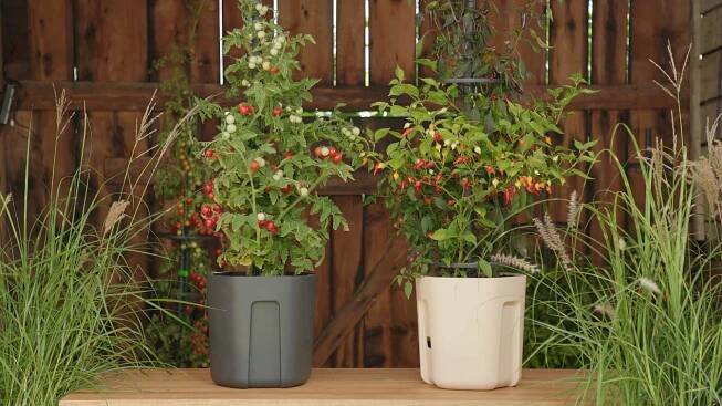 Plastkon - Tomato Pot - Jan Štindl