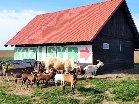 Novinky | Základní škola a Mateřská škola Třemešná