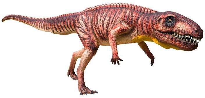 Ornithosuchus