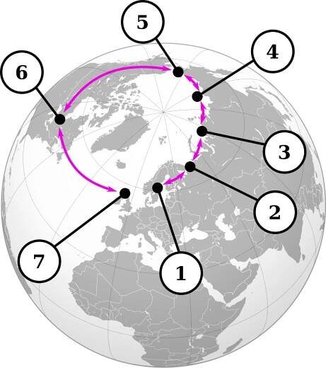 Soubor:Ring species seagull.svg – Wikipedie