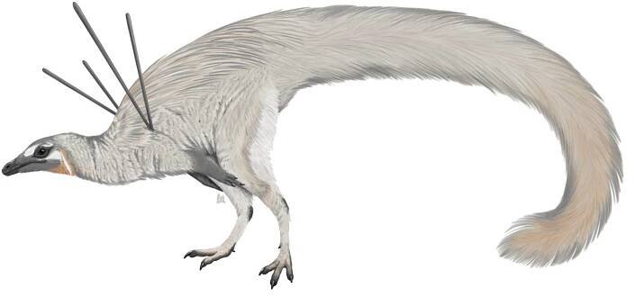 5 nejzajímavějších nových dinosaurů roku 2020